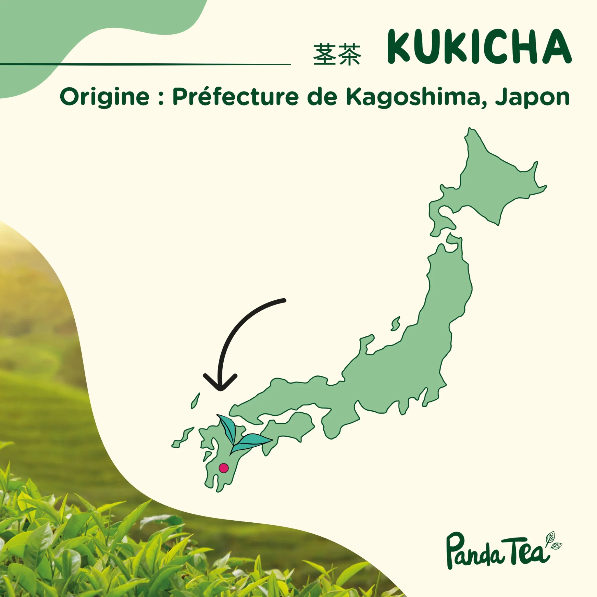 Kukicha Bio - Image 5