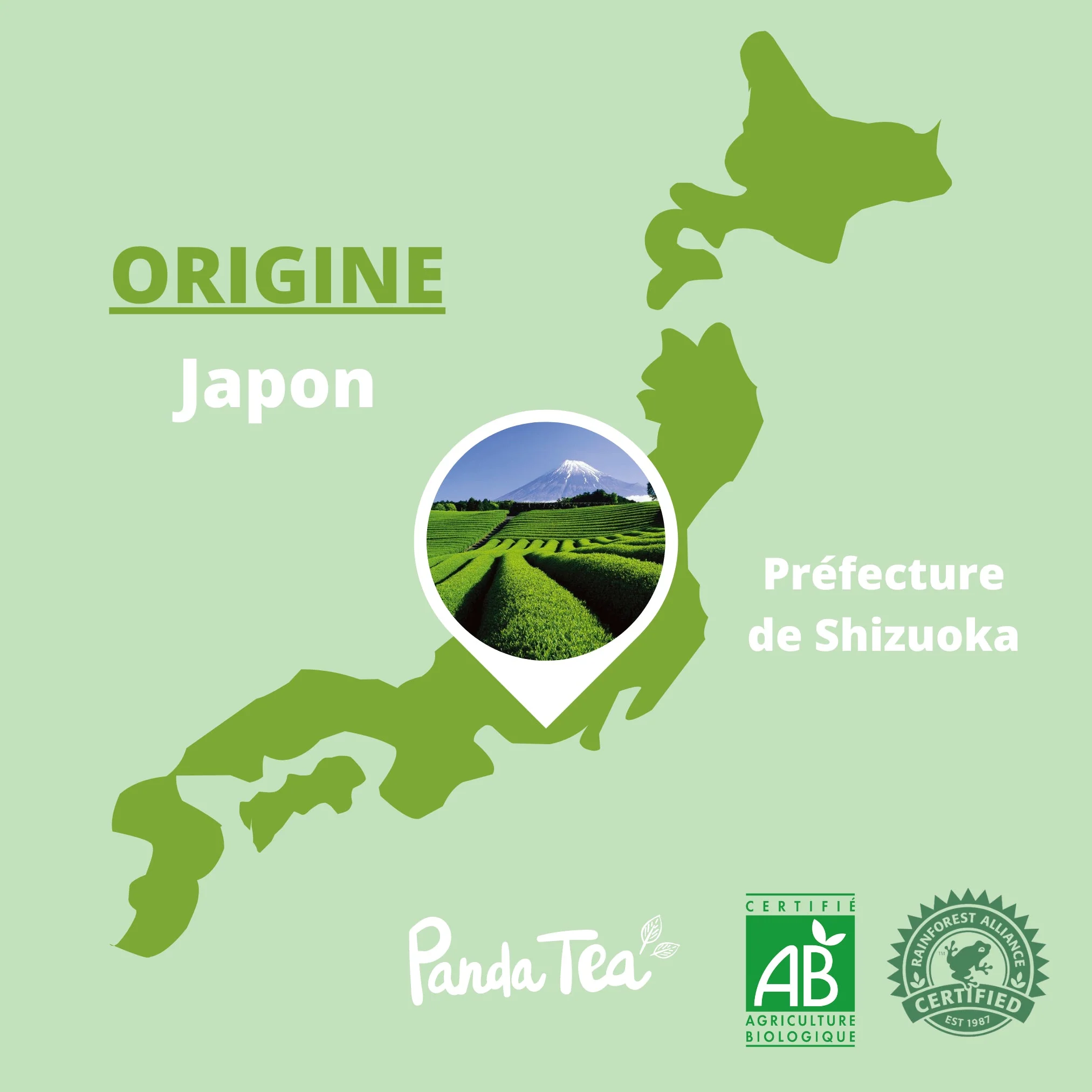 Thé Matcha Cérémonie Bio en Poudre - Image 3