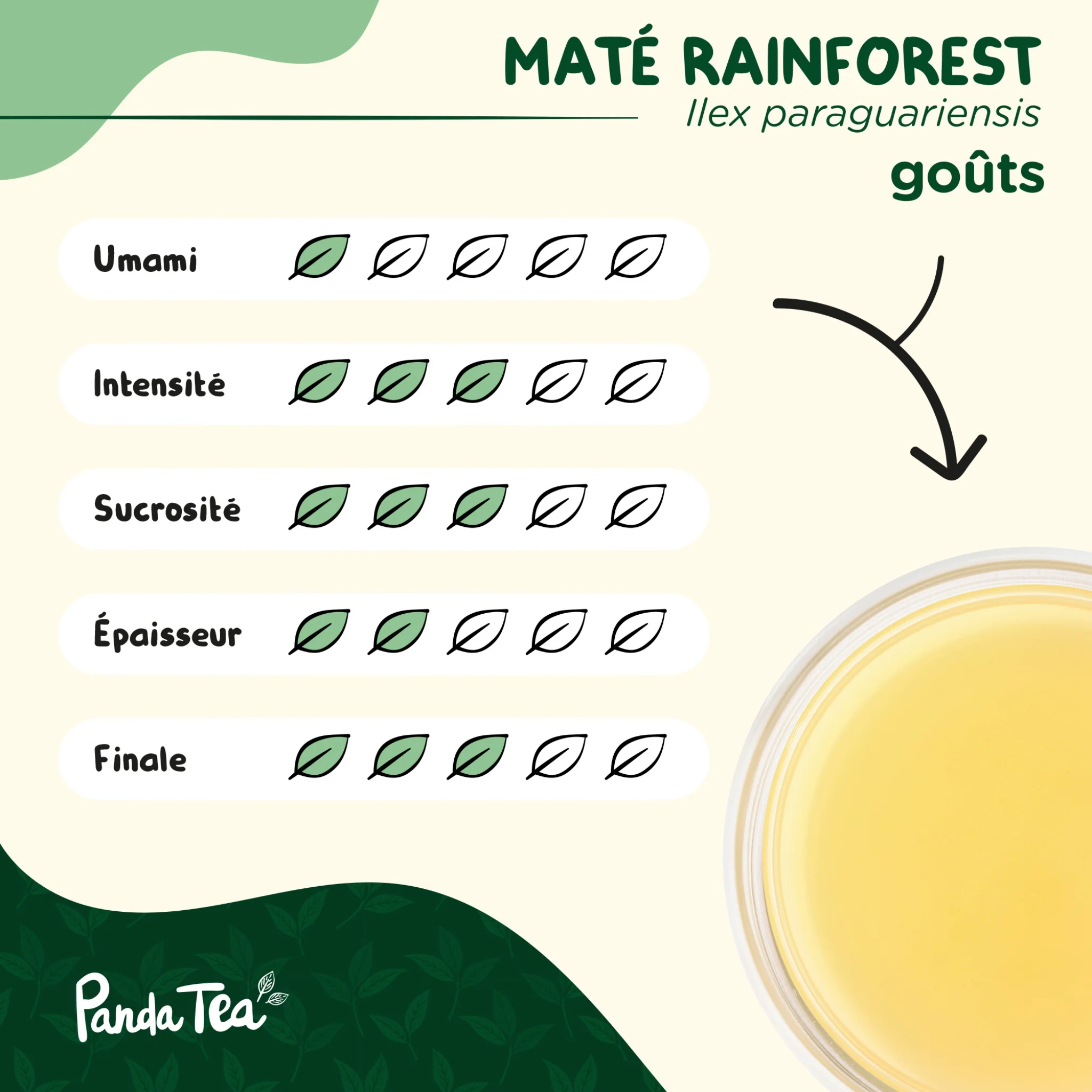 Maté Rainforest Bio - Image 6