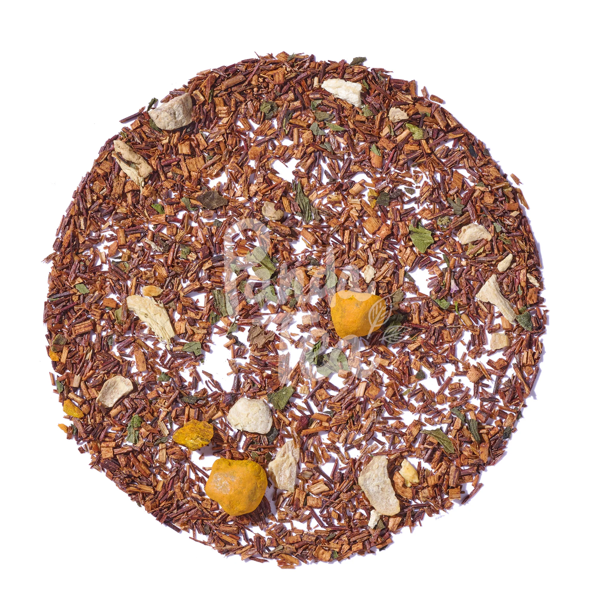 Sportea - Image 4