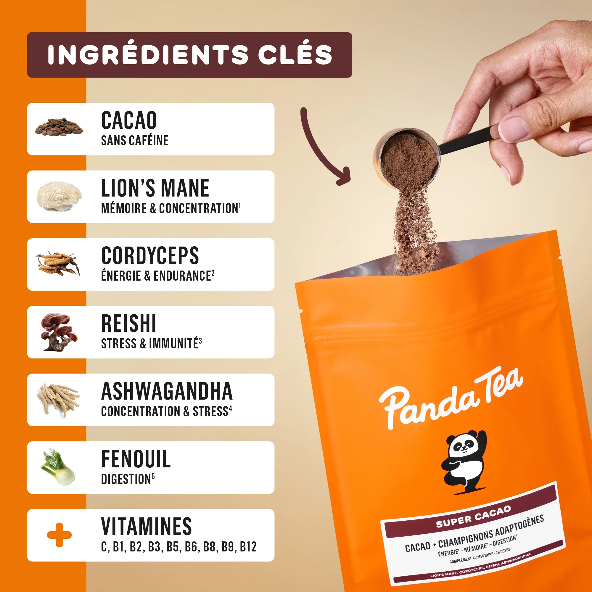 Super Cacao - Image 3