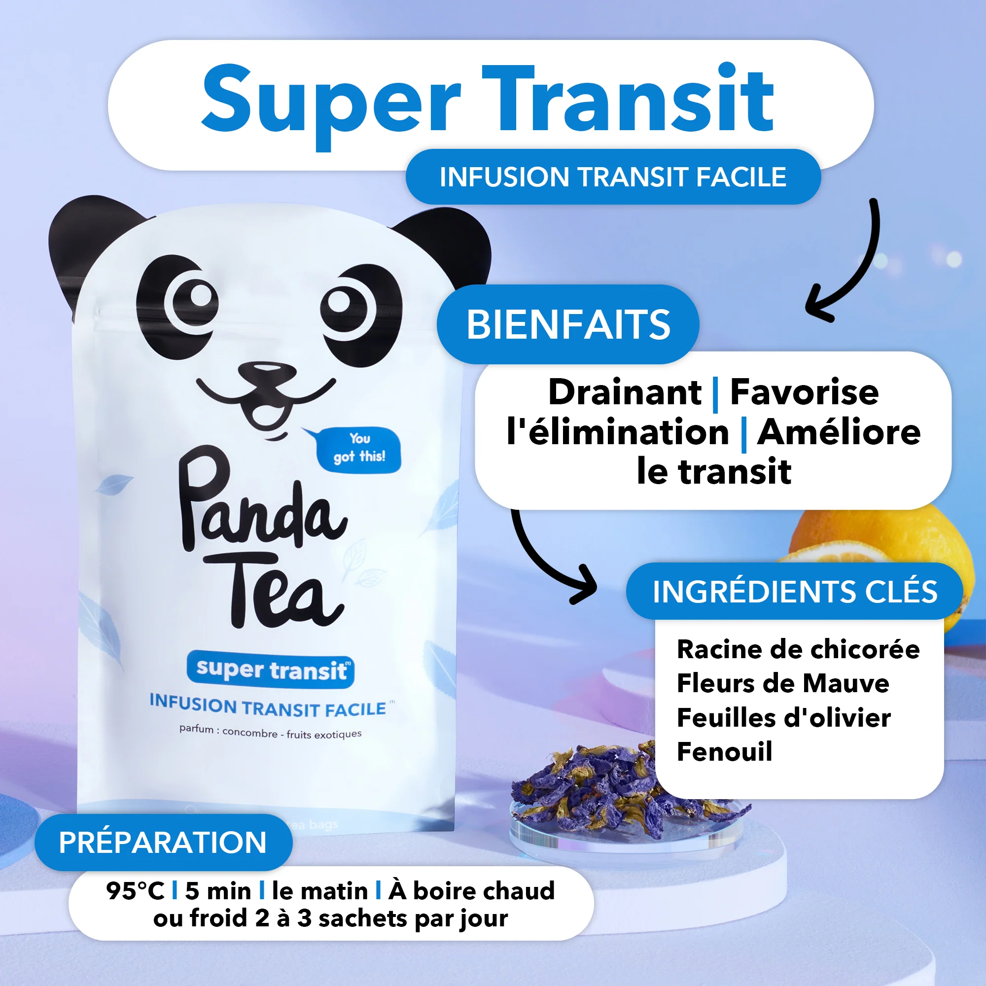 Super Transit - Image 3