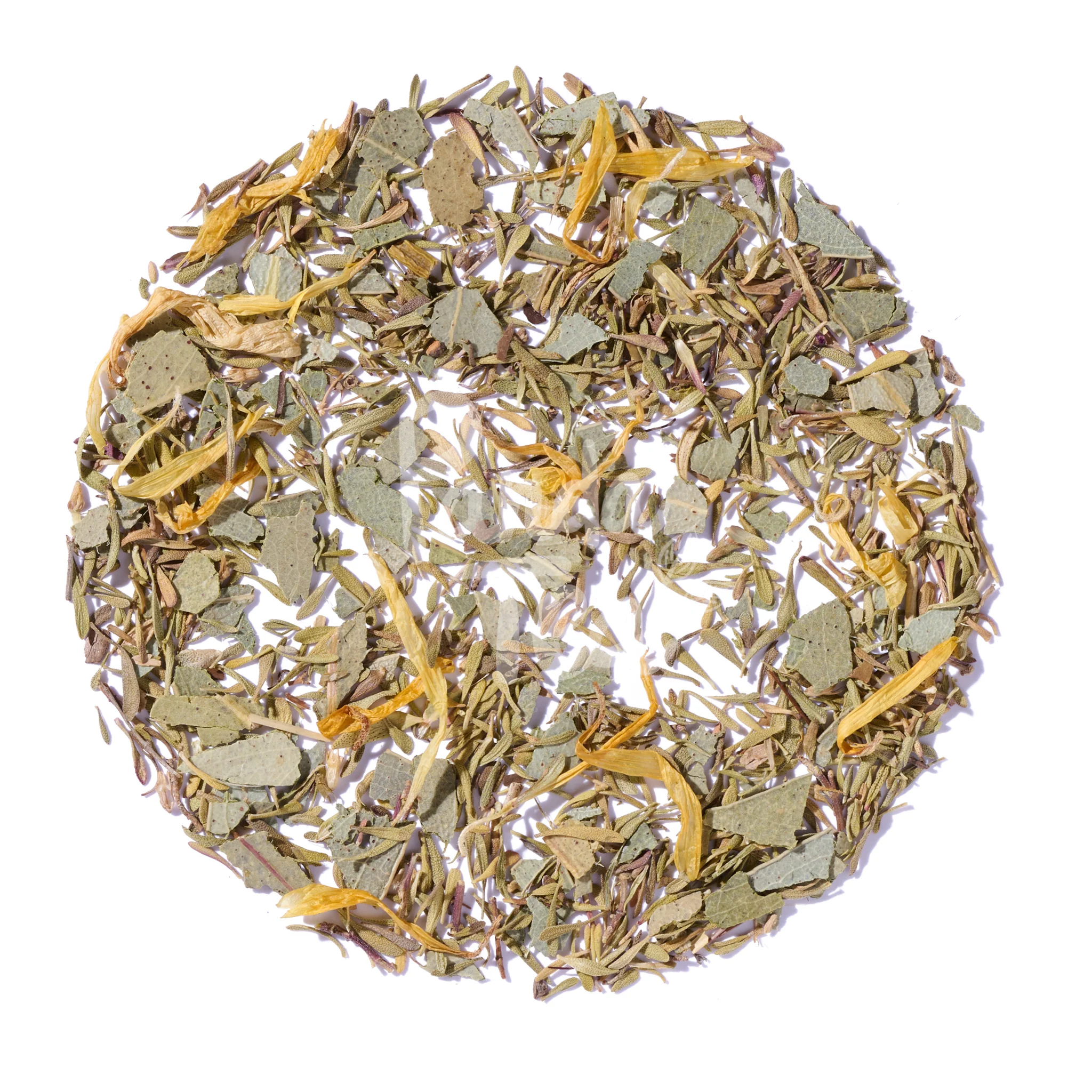 Tea Voice - Image 4